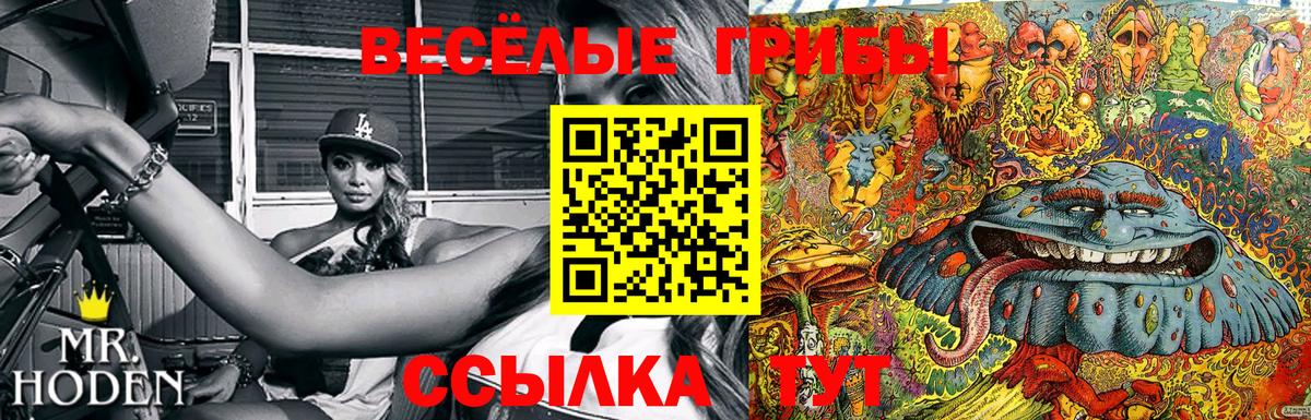 Галлюциногенные грибы прущие грибы Кинель