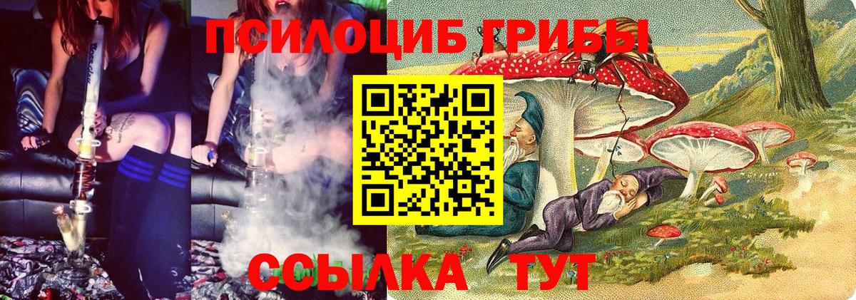 Кинель  Псилоцибиновые грибы прущие грибы  Вход с VPN  Псилоцибиновые грибы мицелий 
